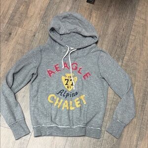 Y2K Gray AE American Eagle Graphic Hoodie with Pink Appliqué & Yellow